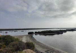 Imagen de la Reserva y Paraje Natural de Punta Entinas Sabinar.