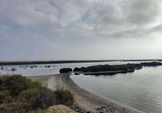 Imagen de la Reserva y Paraje Natural de Punta Entinas Sabinar.