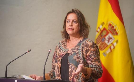 La consejera considera «intolerable» el caso del pediatra presuntamente ebrio en El Ejido