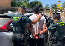 Detenido un joven de 22 años por robar en una vivienda habitada de Balerma.