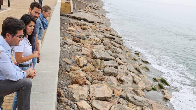 Góngora pide a Costas la publicación del estudio completo sobre la regeneración de la playa de Balerma