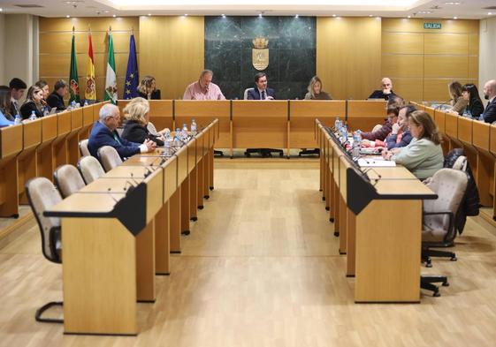 Moción conjunta para acabar con la soledad no deseada de los mayores en Navidad