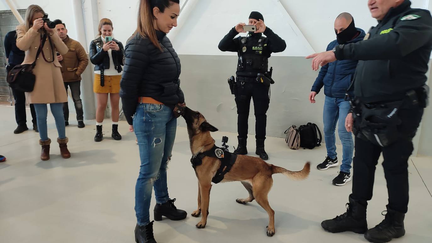 Mía localizando droga en una persona. 