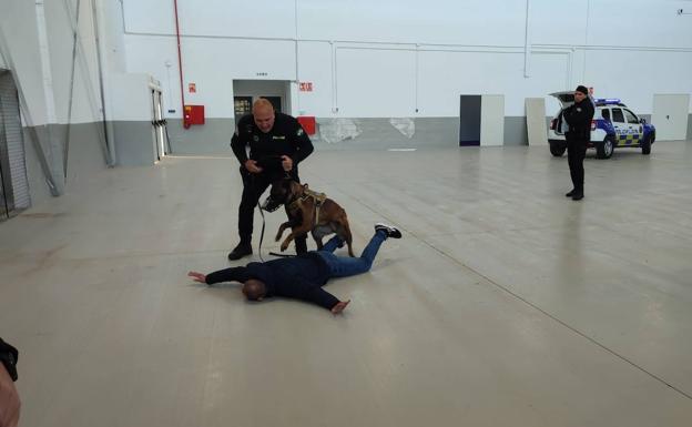 Truco en una acción de intervención policial.