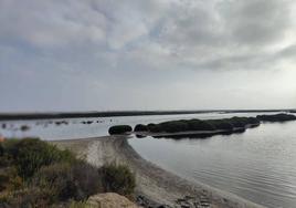 La asociación Ángel Aguilera centra su primera visita del año en Punta Entinas