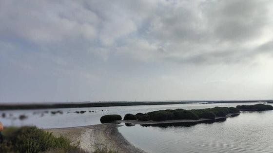 La asociación Ángel Aguilera centra su primera visita del año en Punta Entinas