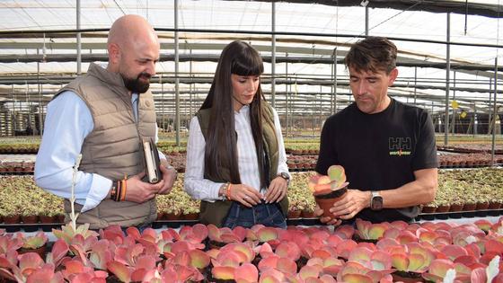 VOX pide que el Área de Agricultura incluya una línea de trabajo de planta ornamental