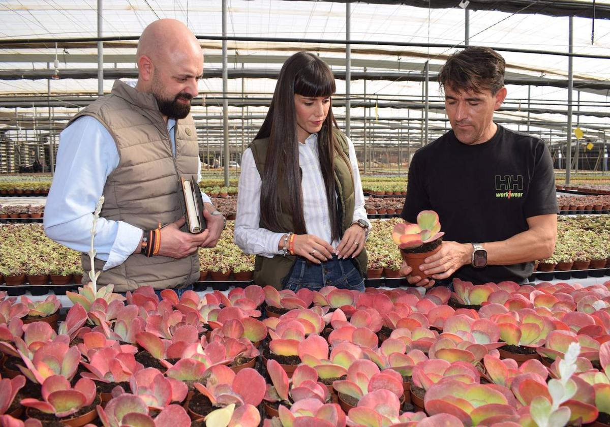 VOX pide que el Área de Agricultura incluya una línea de trabajo de planta ornamental