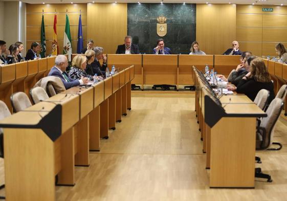El Consejo Municipal Agrario de El Ejido tendrá representación de planta ornamental