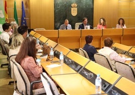 Ayuntamiento y agentes sociales inician la revisión del Plan Local de Zonas Desfavorecidas