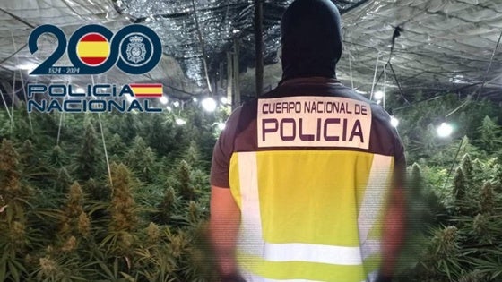 Intervenidos 2.500 kilos de marihuana en la 'Operación Ceniza' en El Ejido