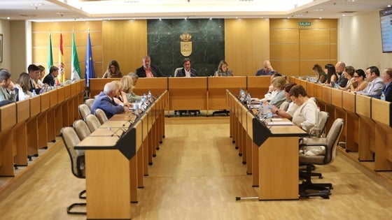 El Ayuntamiento hará un estudio de viabilidad sobre un servicio de seguridad rural