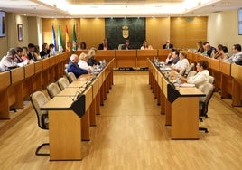 El Ayuntamiento reconocerá a Mabe Hortofrutícola en el Día del Municipio