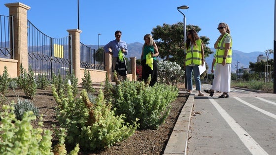 Más de cuatro millones de euros anuales para mantenimiento del césped, arbolado y jardines