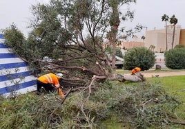 La DANA deja daños por 6,8 millones en instalaciones municipales y edificios públicos de El Ejido