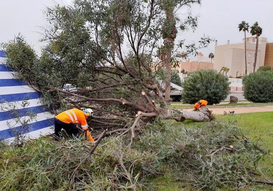 La DANA deja daños por 6,8 millones en instalaciones municipales y edificios públicos de El Ejido