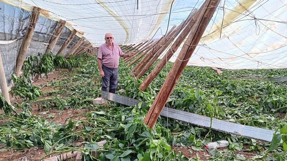 «Tengo casi 70 años y jamás he visto una cosa igual en El Ejido»
