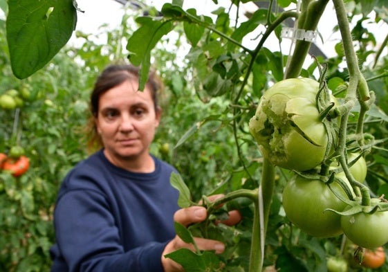 Una agricultora de El Ejido muestra los daños sufridos por su plantación.