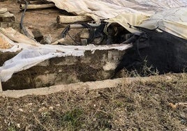 El alcalde de El Ejido reclama exenciones fiscales para el campo y ayudas «concretas» para vehículos