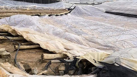 El alcalde de El Ejido reclama exenciones fiscales para el campo y ayudas «concretas» para vehículos