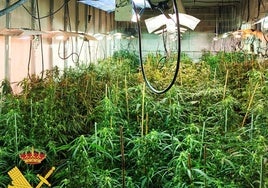 Plantas intervenidas en la vivienda.