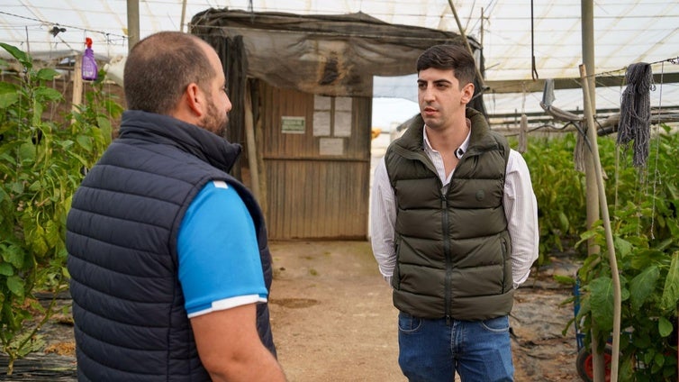El Ayuntamiento de El Ejido anima a los agricultores a usar rafias alternativas con materiales biodegradables y compostables