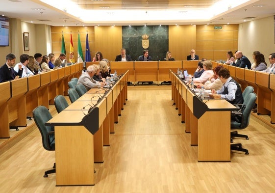 Imagen del pleno de este viernes.