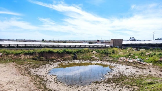 Un cortijo de época romana podría verse afectado por obras en El Ejido
