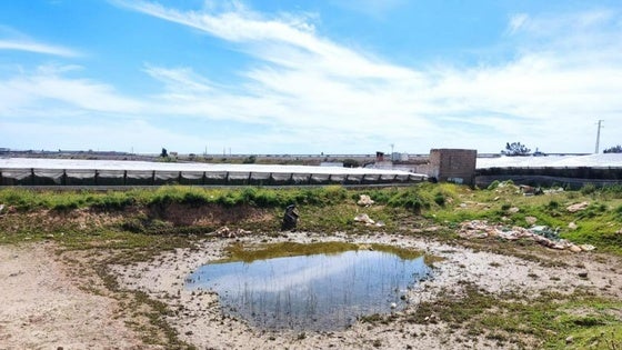 Exige protección para el yacimiento romano Cortijo de Rempuje ante las obras de la A-7