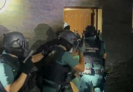 Doce detenidos en tres operaciones simultáneas en El Ejido, con 6.000 plantas de marihuana intervenidas