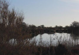 Punta Entinas - Sabinar se encuentra entre dos municipios.