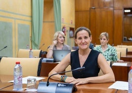 La parlamentaria andaluza por Almería, Montserrat Cervantes.