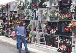El cementerio municipal de El Ejido contará con una ampliación.