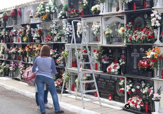 El cementerio municipal de El Ejido contará con una ampliación.