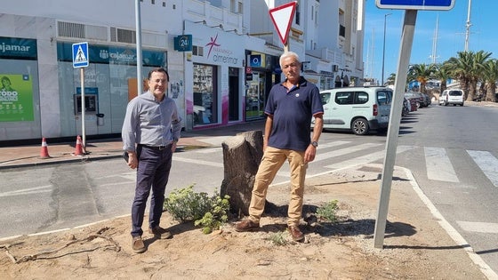 El PSOE denuncia la destrucción de zonas verdes en Almerimar