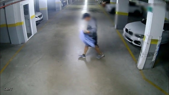 Detenido un ladrón de piezas de vehículos de alta gama tras robar cámaras de seguridad en El Ejido