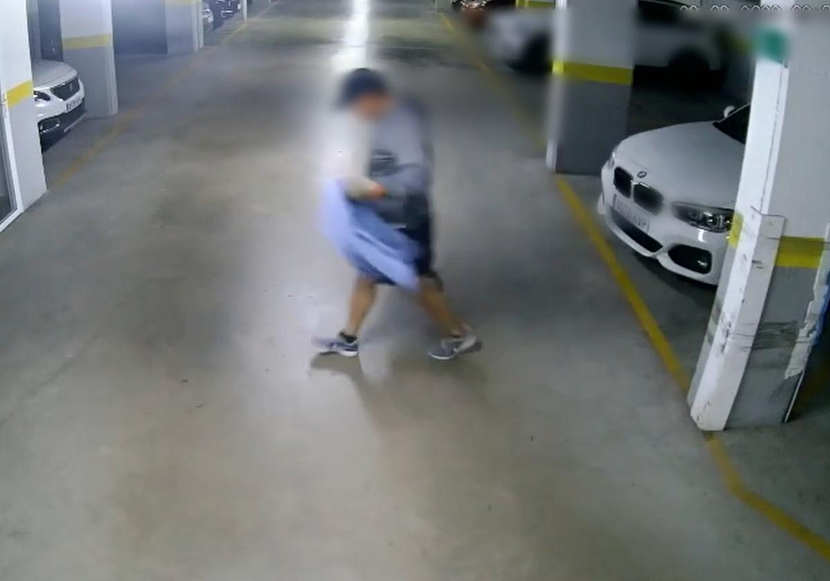Detenido un ladrón de piezas de vehículos de alta gama tras robar cámaras de seguridad en El Ejido