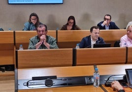 El portavoz del Grupo Municipal Socialista de El Ejido.