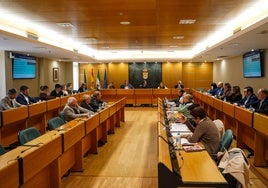 El alcalde ha defendido que «la conexión ferroviaria es una alternativa real, eficiente y sostenible que permitiría descongestionar el tráfico y reducir las emisiones contaminantes«.