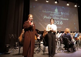 Un momento de la actuación musical en el Auditorio de El Ejido.