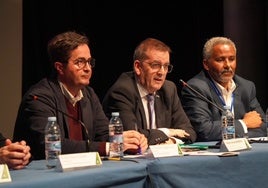 El programa científico incluyó cuatro mesas redondas, centradas en temas de especial relevancia y actualidad en la atención pediatría.