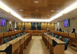 El Consejo de la Mujer también analiza el programa de actividades con motivo de la celebración del 8M.