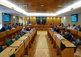 El Pleno se celebraba durante la mañana de este viernes en el Ayuntamiento de El Ejido.