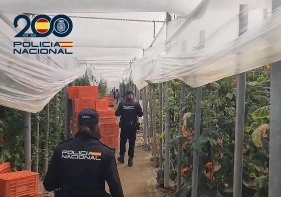 Detenidos dos empresarios agrícolas en El Ejido por emplear a migrantes en situación irregular