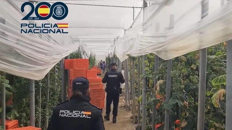 Detenidos dos empresarios agrícolas en El Ejido por emplear a migrantes en situación irregular