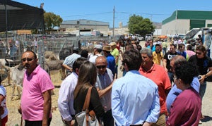 La I Feria del Ganado de Tarambana reúne a más de 5.000 personas