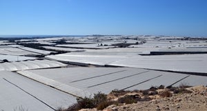 El Ejido contará con la primera planta para tratar plásticos y obtener gasóleo