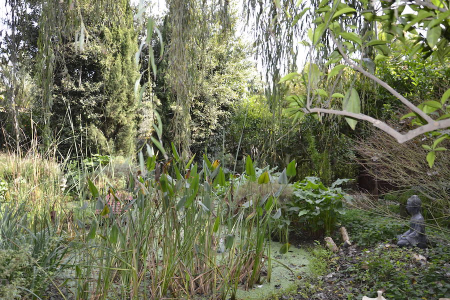 En el jardín botánico de ‘La Almunya del Sur’ se da cabida a más de mil taxones distintos y a especies procedentes de prácticamente los cinco continentes. 