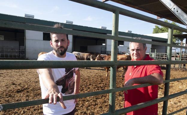 Imagen principal - Ternera pajuna, la 'rubia' de Sierra Nevada conquista las mesas