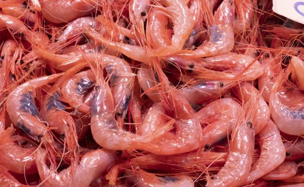 La III Quisquillá de Motril finaliza hoy con la subasta de pescado
